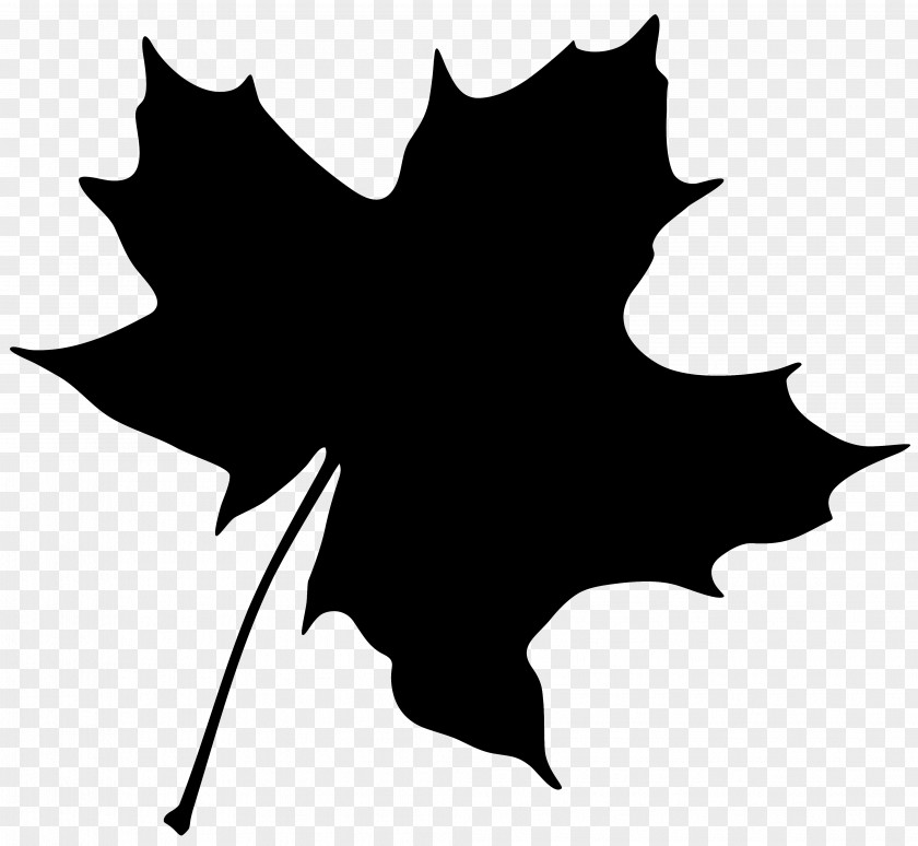 Vector Graphics Maple Leaf Clip Art Image PNG