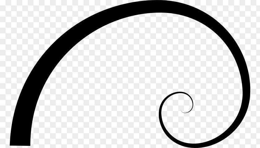 Blackandwhite Fibonacci Golden Circle PNG