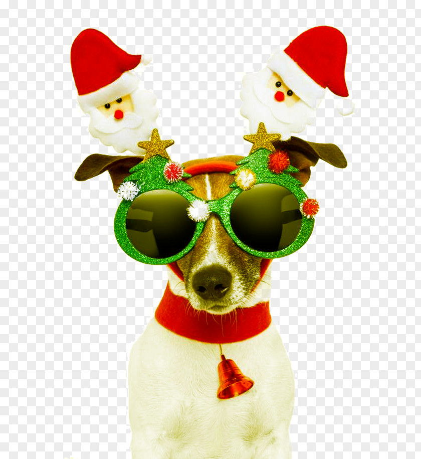 Christmas Dog Design Elements Santa Claus Card Greeting PNG