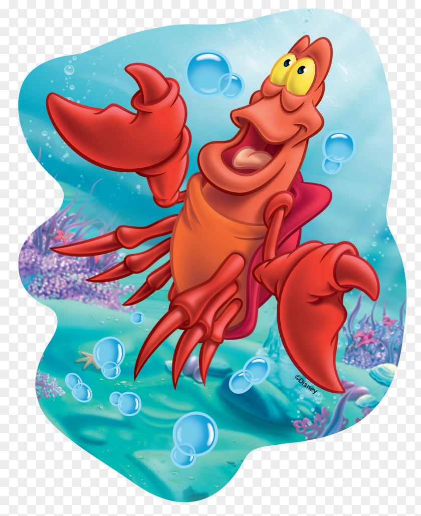 Disney Princess Ariel Jigsaw Puzzles Scuttle PNG