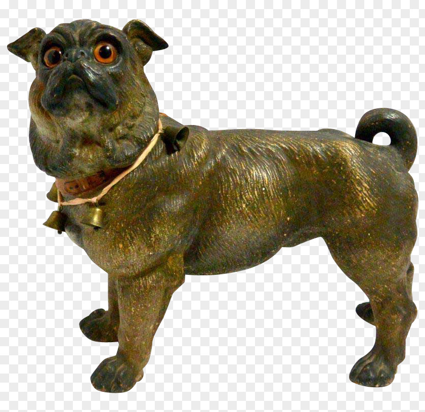 Dog Breed Snout Metal PNG