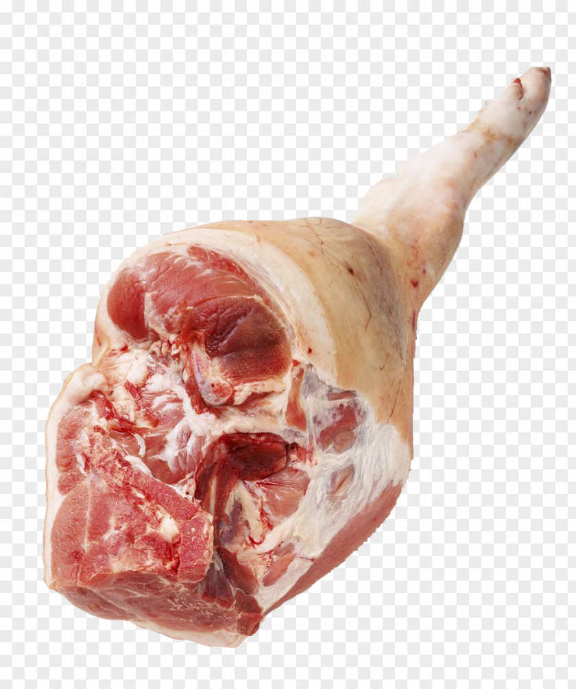 Fresh Pork Legs In Kind Capocollo Ham Domestic Pig Meat PNG