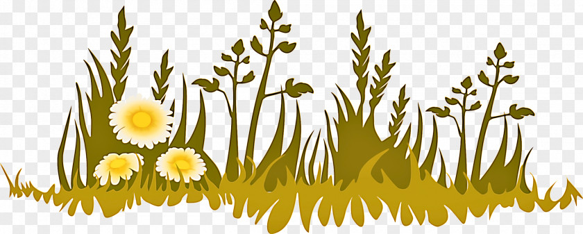 Grass Camomile Yellow Flower Plant Chamomile Dandelion PNG