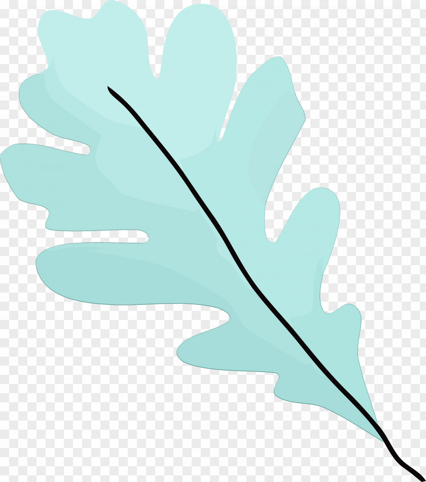 Leaf Green Turquoise Plant Tree PNG
