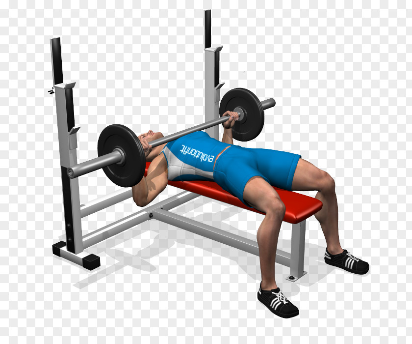 Barbell Bench Press Exercise Weight Training PNG