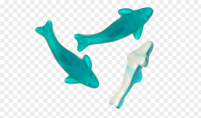 Company Spirit Dolphin Marine Biology Product Design Plastic Turquoise PNG