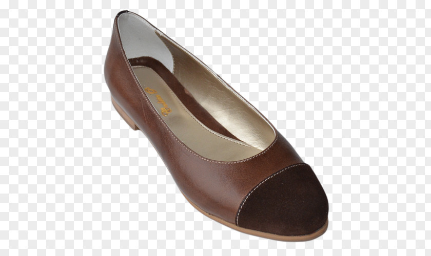 Dama Shoe Walking Pump PNG