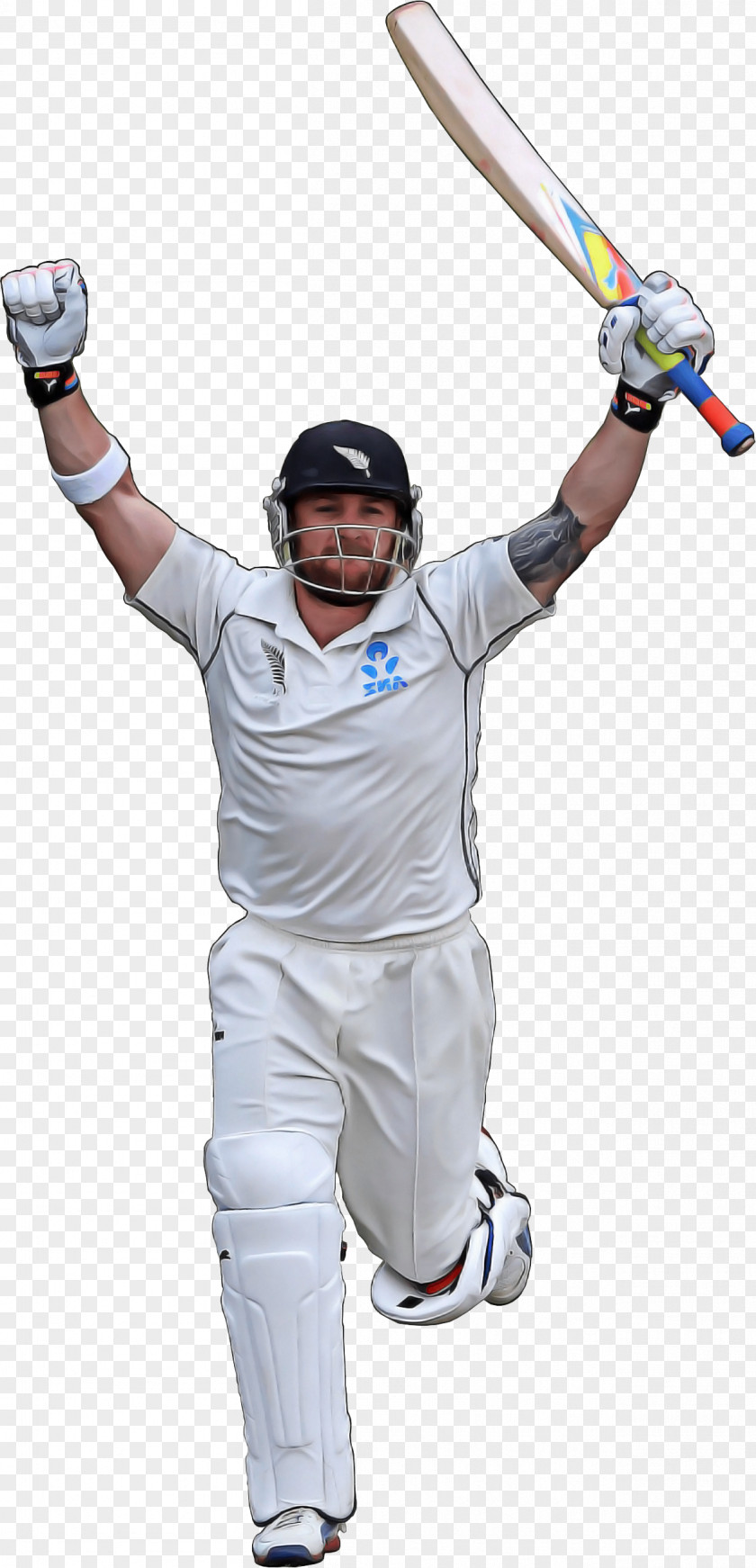 Batandball Games Cricket Bat PNG