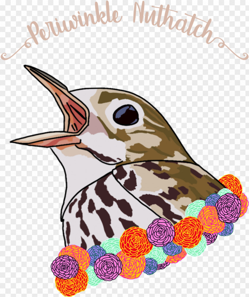 Cuckoo Perching Bird Hummingbird PNG