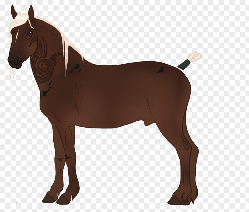 Davy Jones Mustang Stallion Pony Mare Rein PNG