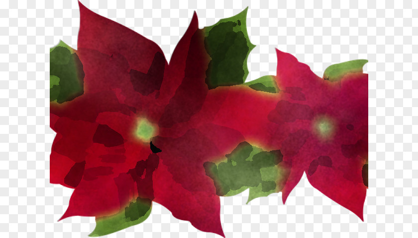 Flower Petal Plant Red Leaf PNG