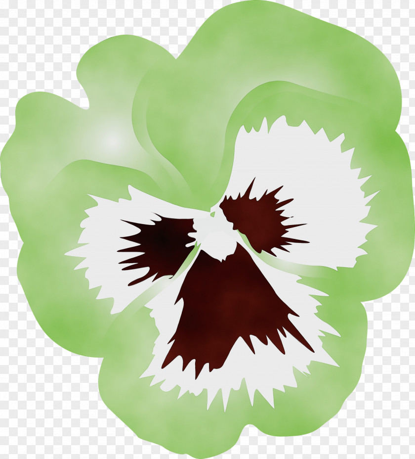 Green Leaf Plant Flower Violet Family PNG