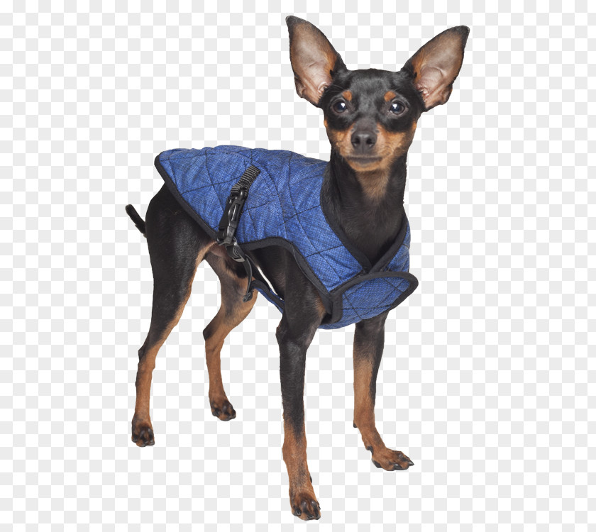 Keep Pets Dog Jacket Coat Gilets Pet Shop PNG