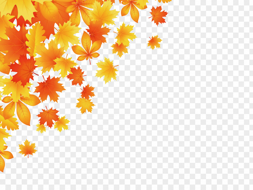 Leaf Autumn Color Royalty-free PNG