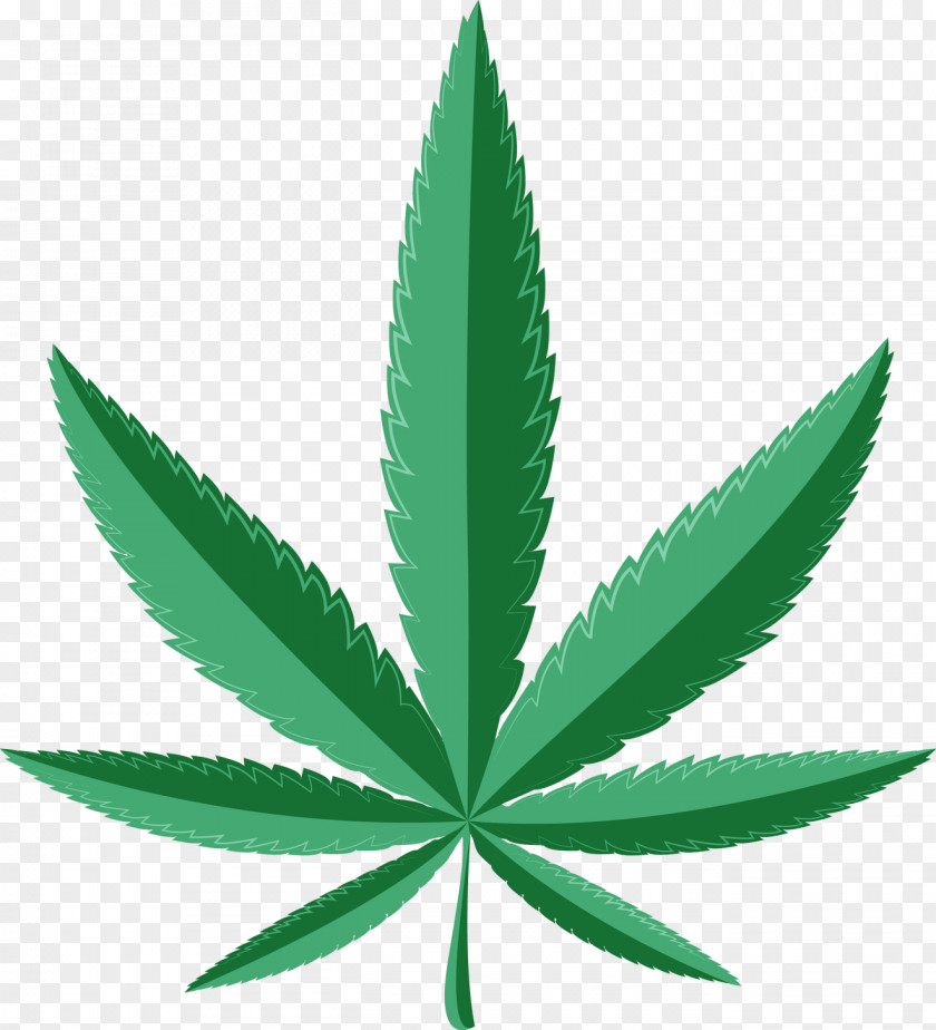 Marijuana Leaf Border Medical Cannabis Dispensary Shop Medicine PNG