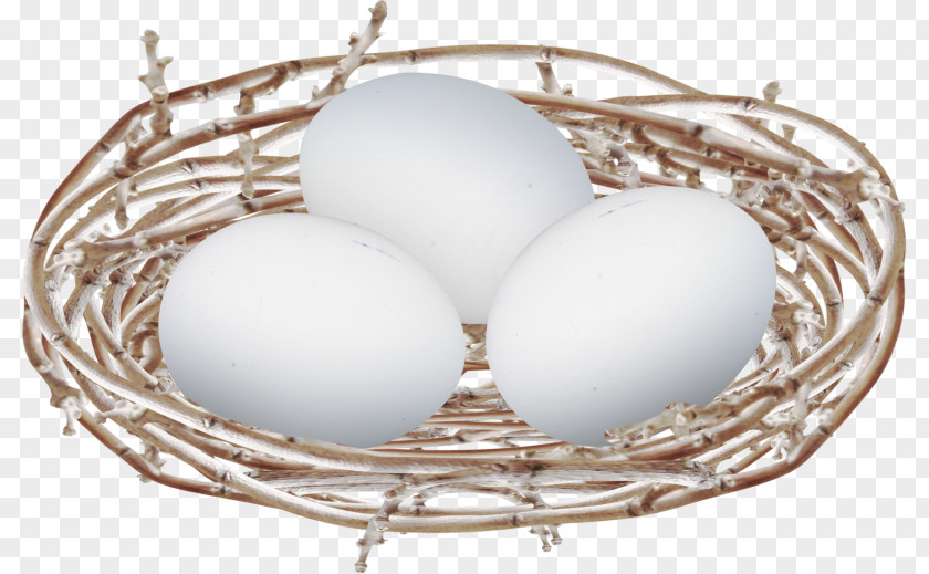 Bird Edible Bird's Nest Egg PNG