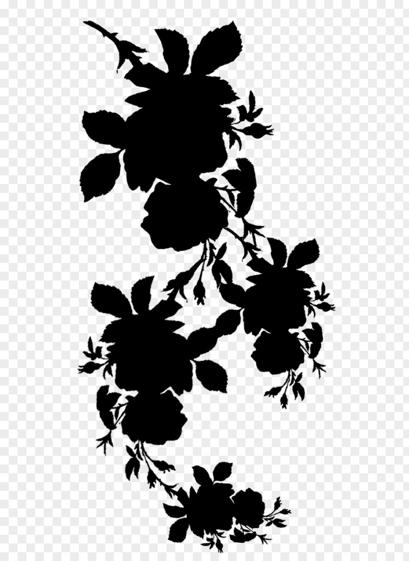 Drawing Graphics Flower Pencil Sketch PNG