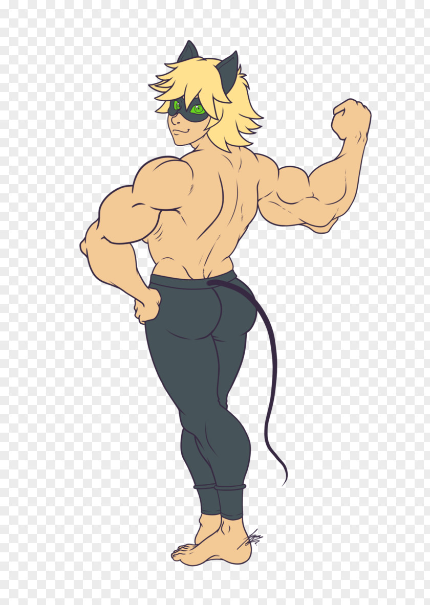 Muscular Man Adrien Agreste Muscle Hypertrophy Homo Sapiens Biceps PNG