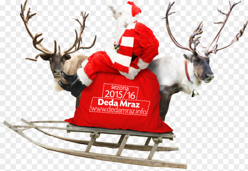 Reindeer Santa Claus Christmas Ornament Rudolph PNG