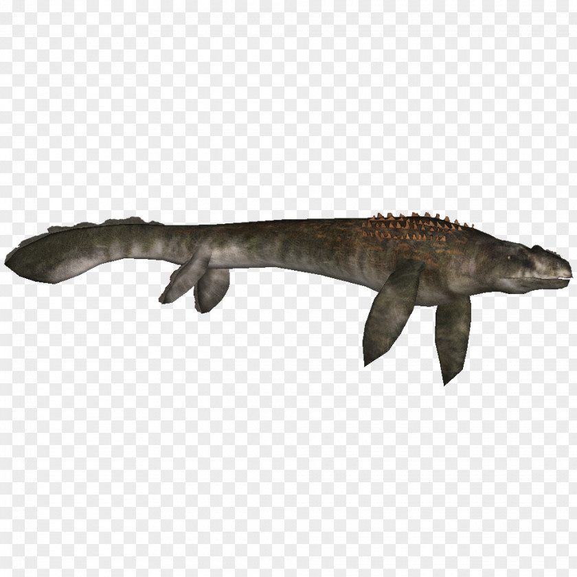 Scenery Reptile Mosasaurus Tylosaurus Liopleurodon Elasmosaurus PNG