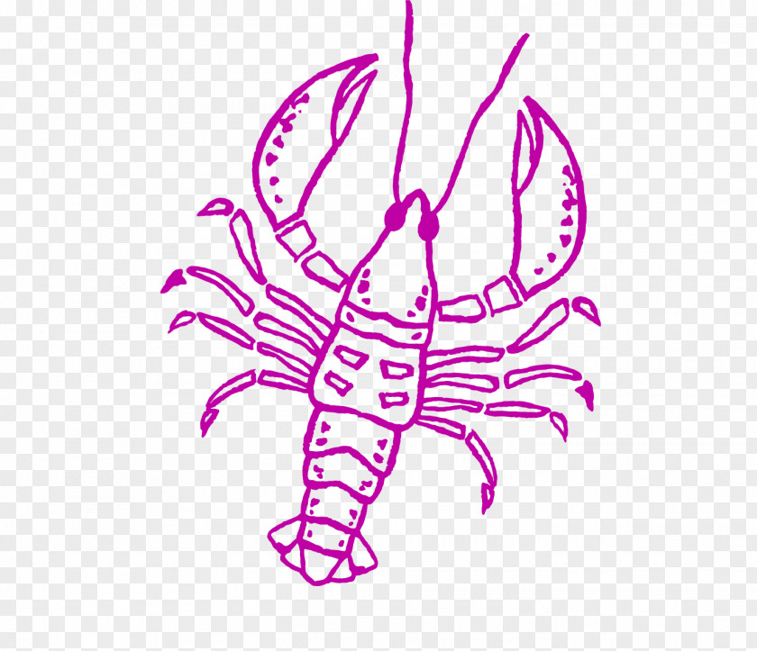 Vector Painted Lobsters Lobster Seafood Caridea Palinurus Elephas PNG