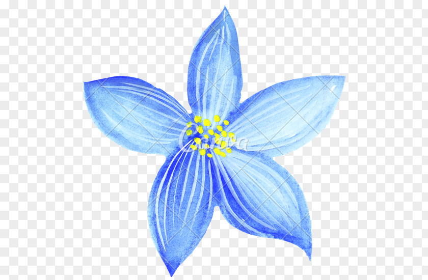 Watercolor White Flower Love Drawing Painting Blue PNG