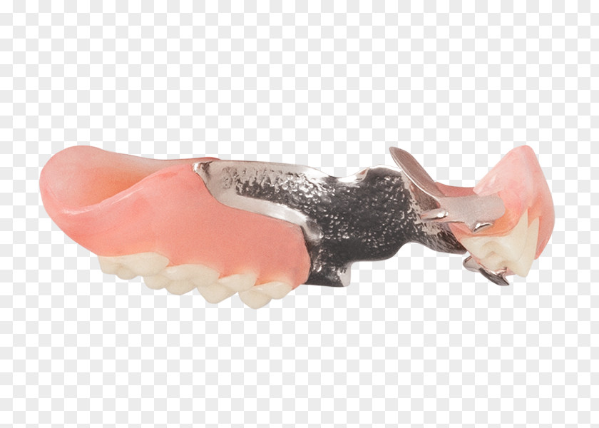 Aspen Dental Shoe Jaw PNG