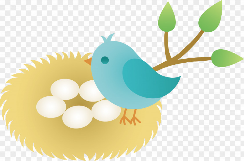 Bird Graphic Nest Clip Art PNG