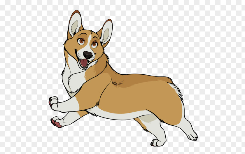 Corgi Pembroke Welsh Dog Breed Canidae Mammal Snout PNG