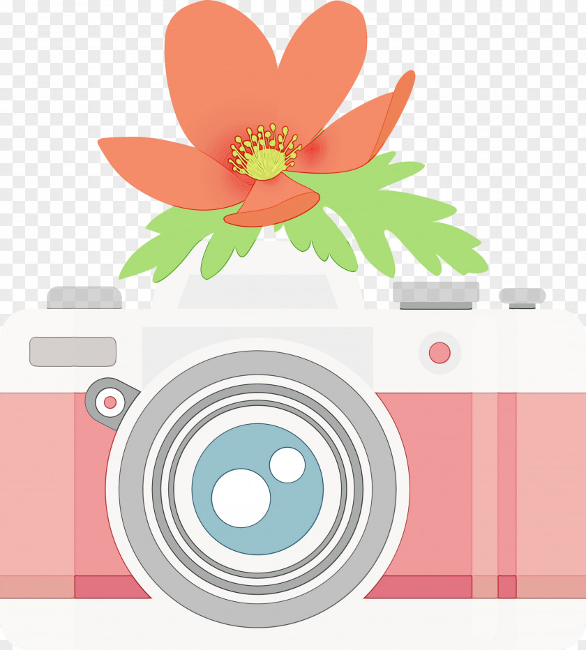 Floral Design PNG