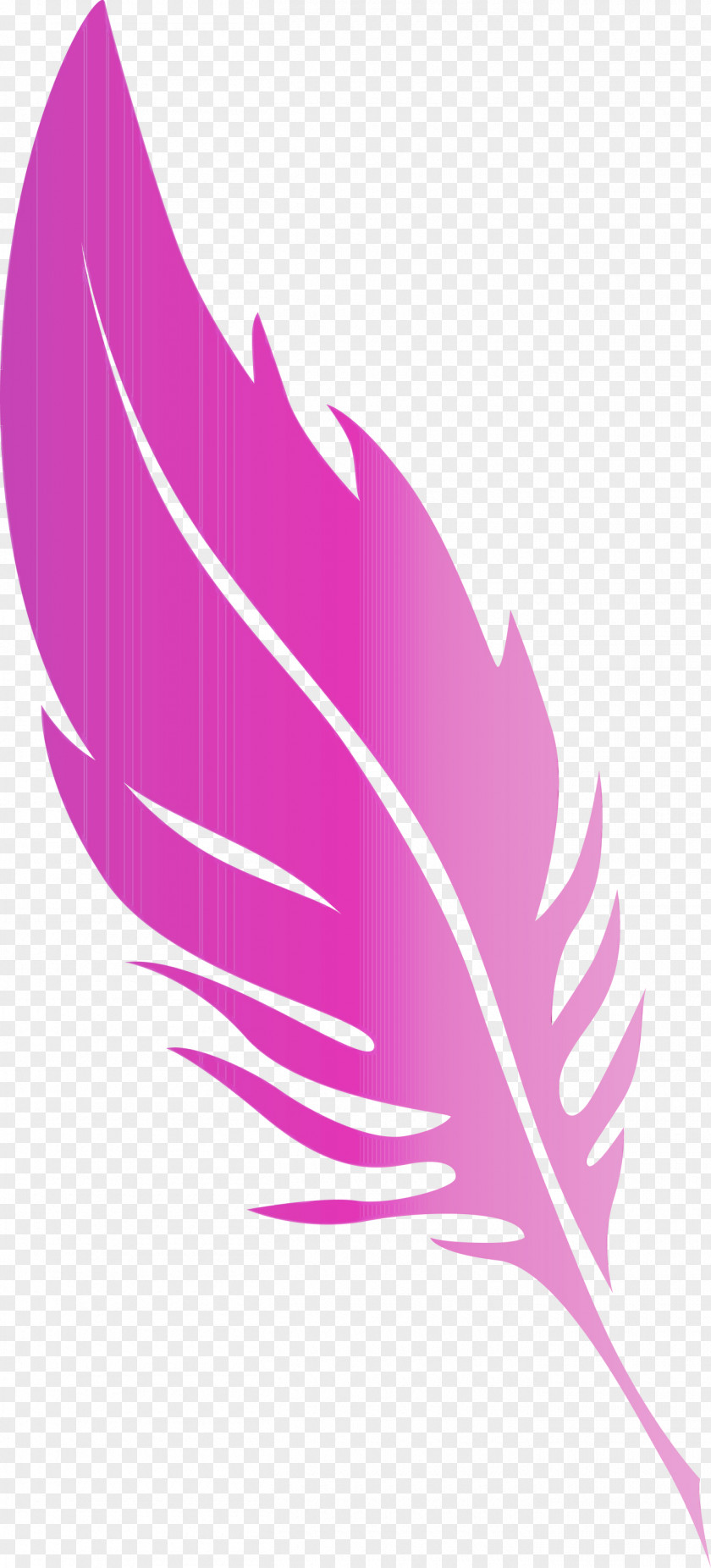 Leaf Pink M Quill Line Meter PNG