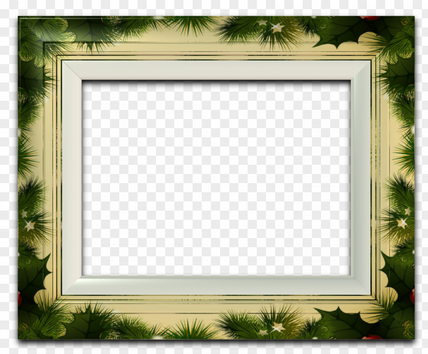 Picture Frames Photography Drawing Clip Art PNG