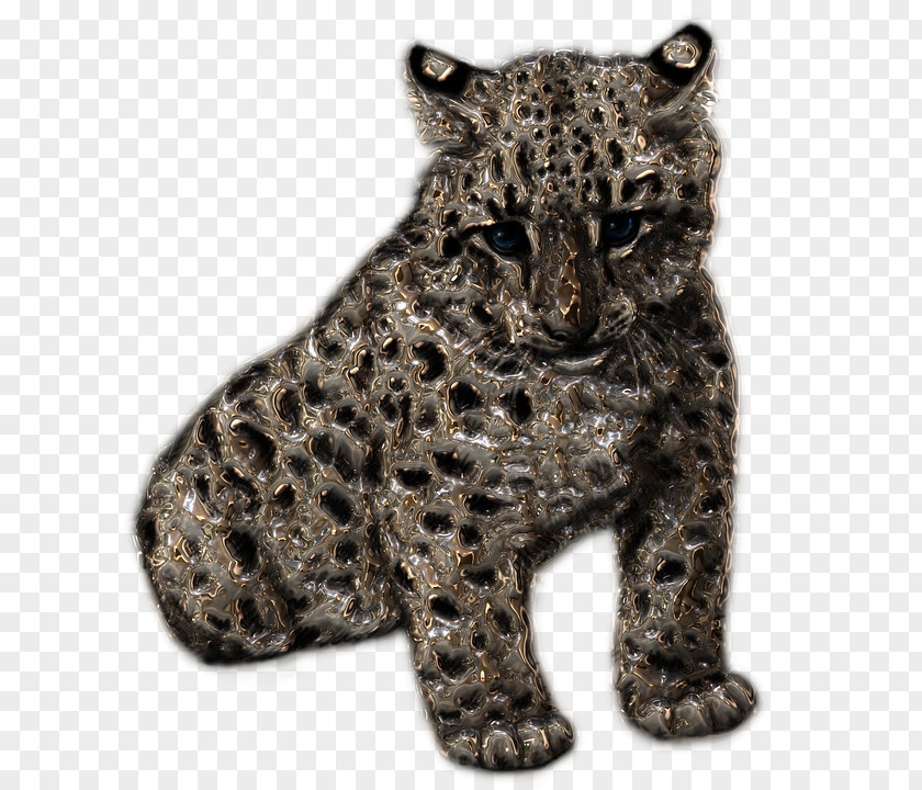Snowleopard Felidae Cheetah Tiger Leopard PNG