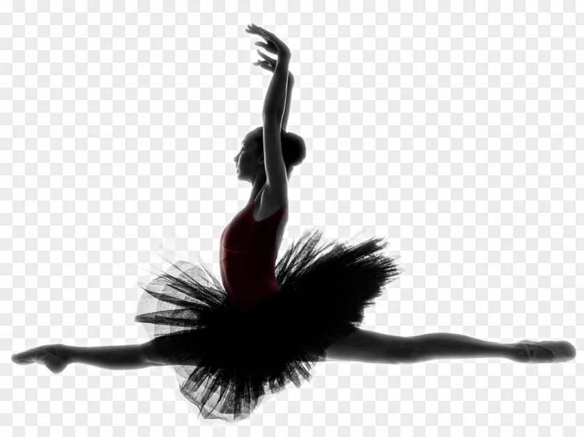 Ballet Beauty Dancer Dance Studio Tutu PNG
