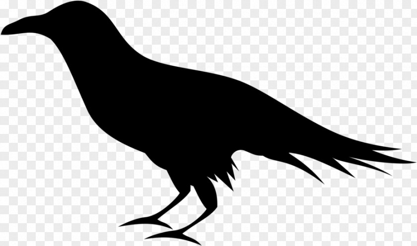 Crowlike Bird Beak Silhouette PNG