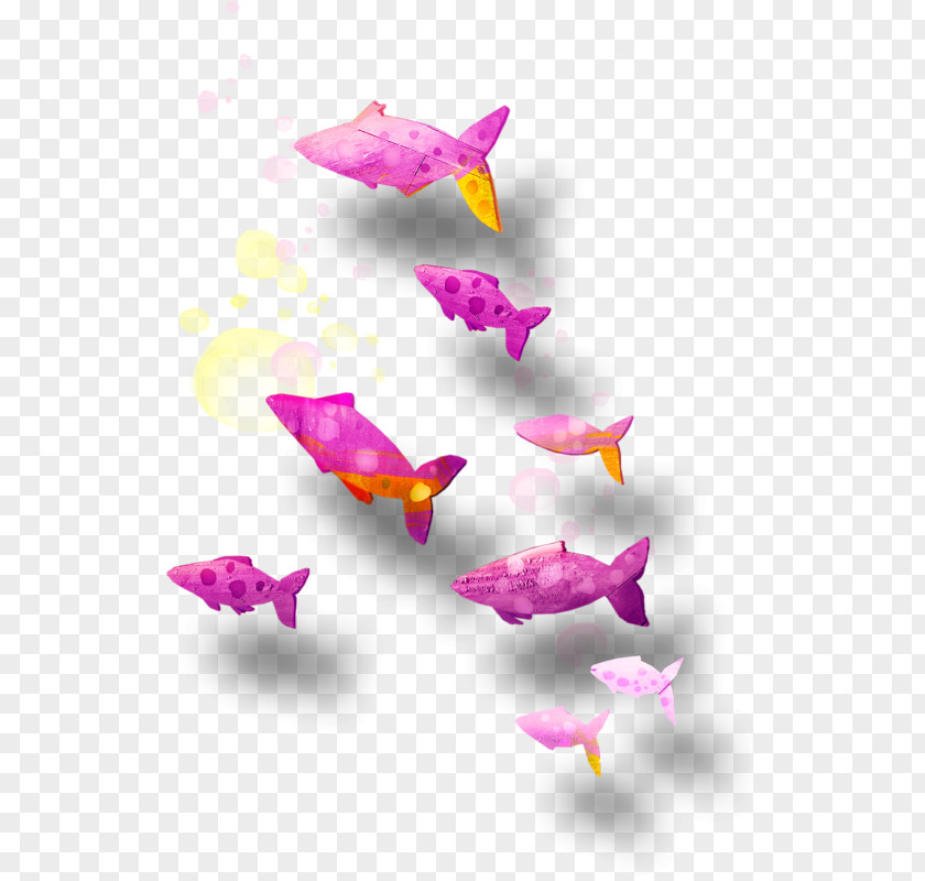 Dragon Fish Pink M PNG