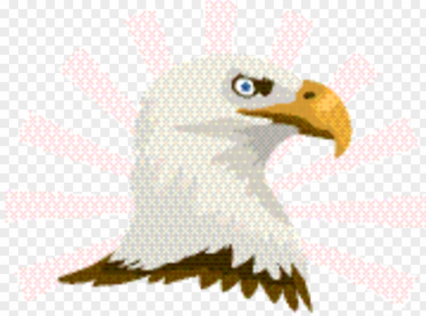 Eagle Bird Of Prey Logo PNG