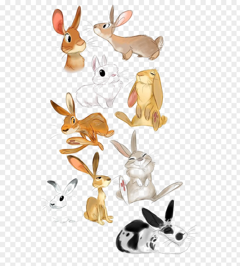 Hand-painted Bunny Collection Bugs Roger Rabbit Hare Drawing PNG