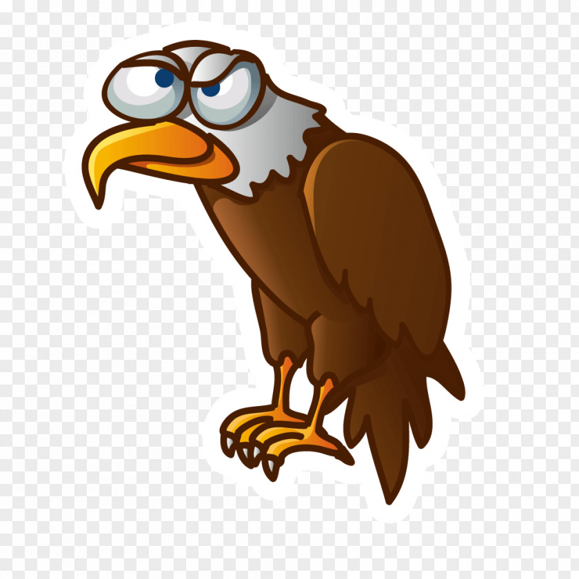 Vector Evil Eagle Vulture Cartoon Bird Illustration PNG