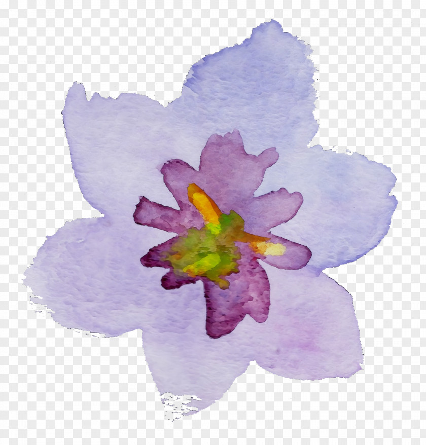 Violet Flower Petal Purple Watercolor Paint PNG