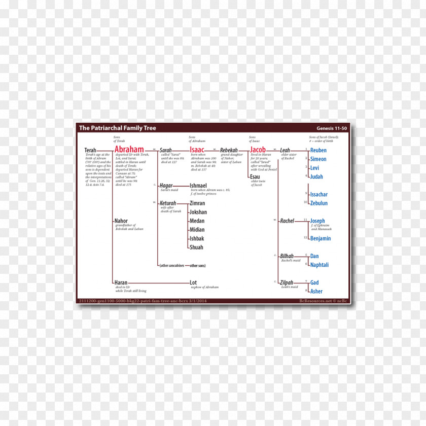 Abraham's Family Tree Product Design Diagram Line Angle PNG