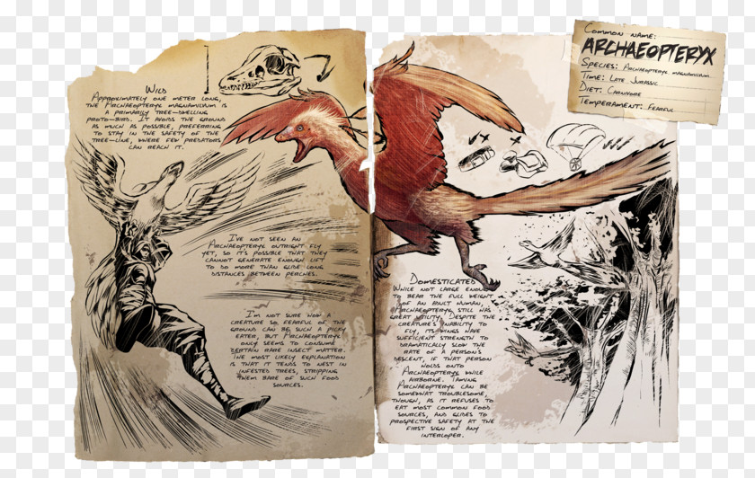 Bird ARK: Survival Evolved Archaeopteryx Tapejara Stegosaurus PNG