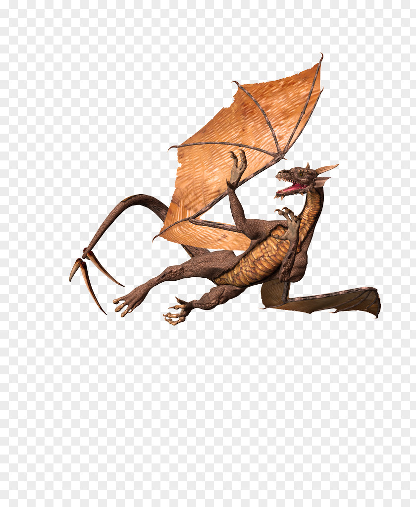 Dragon Images, Free Drago Picture PNG