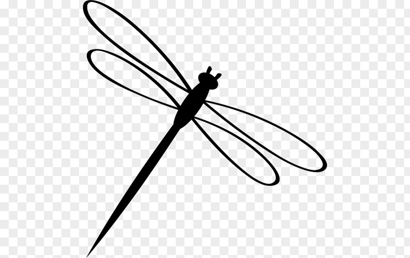 Dragonfly Insect Black And White Logo Clip Art PNG
