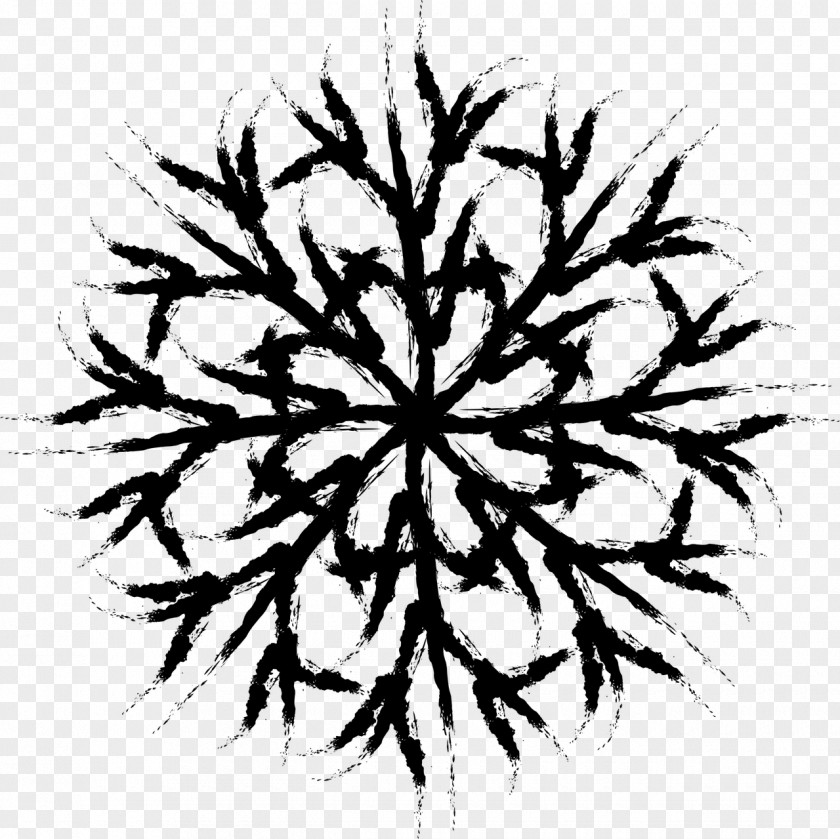 Snow Snowflake Cold Winter Weather PNG