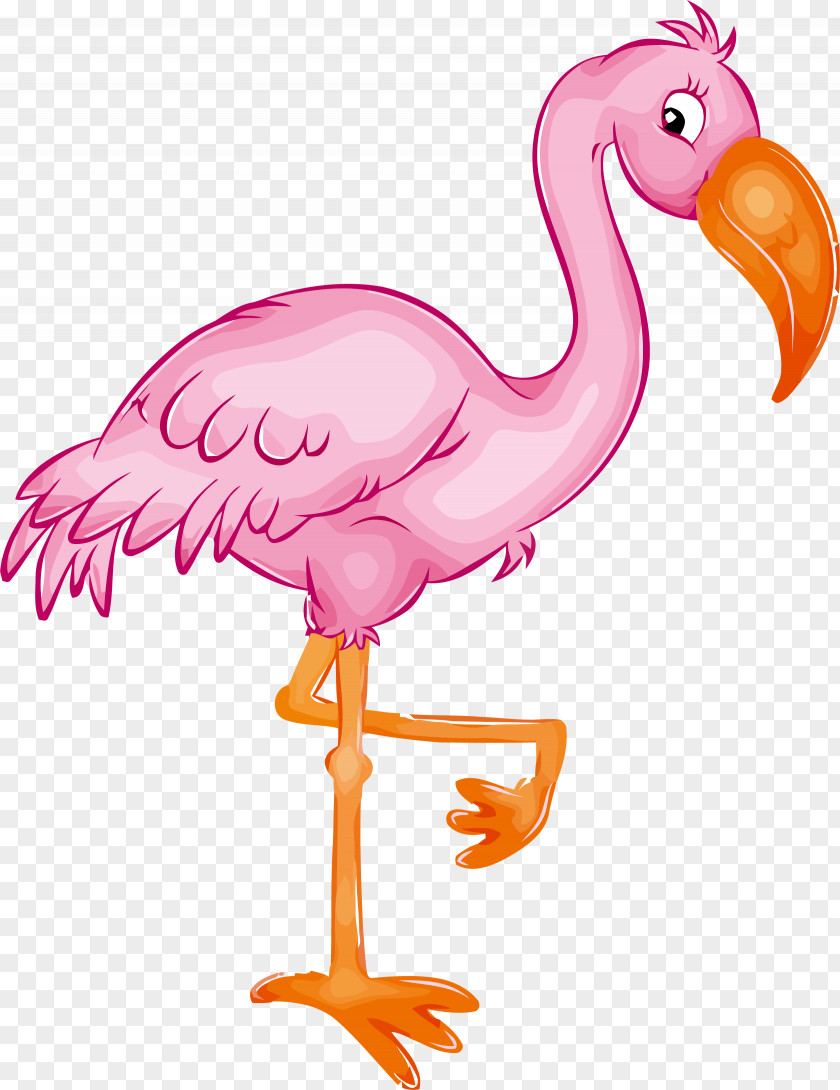 Animal Figure Water Bird Flamingo PNG