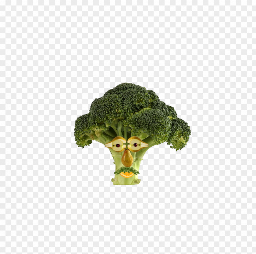 Cartoon Broccoli Vegetarian Cuisine Fruit Vegetable Stock Photography Healthy Diet PNG