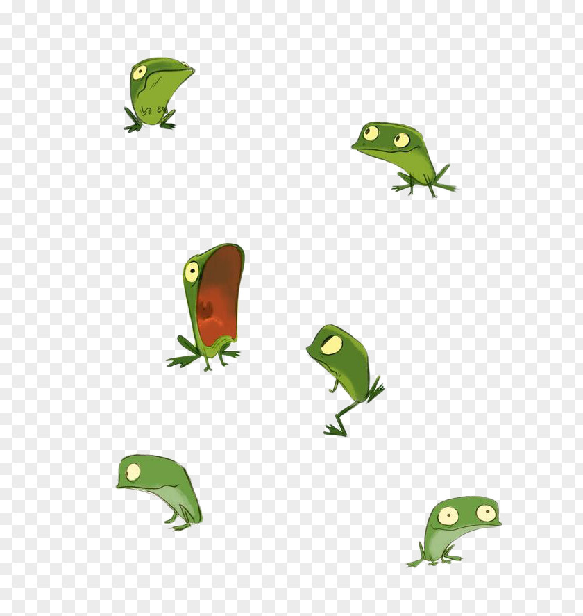 Cute Little Frog Drawing Model Sheet Illustration PNG