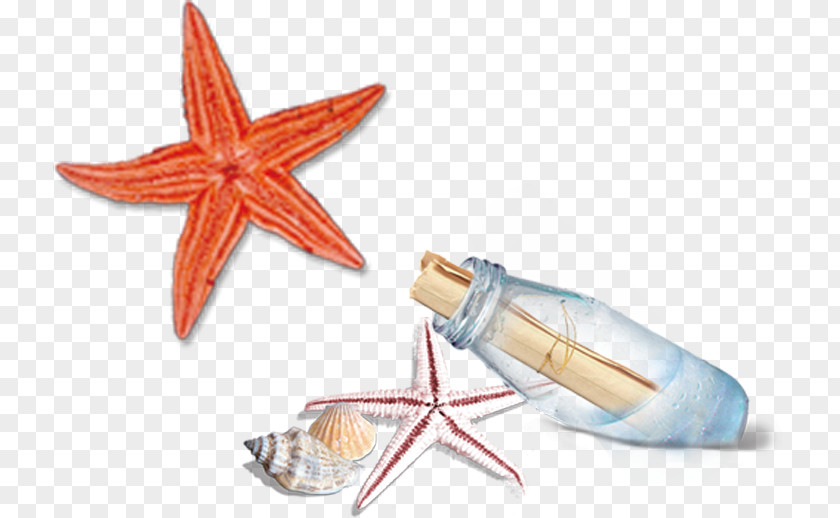 Drift Bottles Starfish Computer File PNG