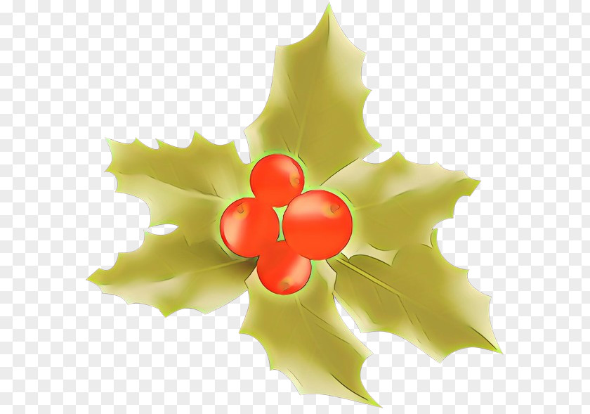 Plane Petal Holly PNG